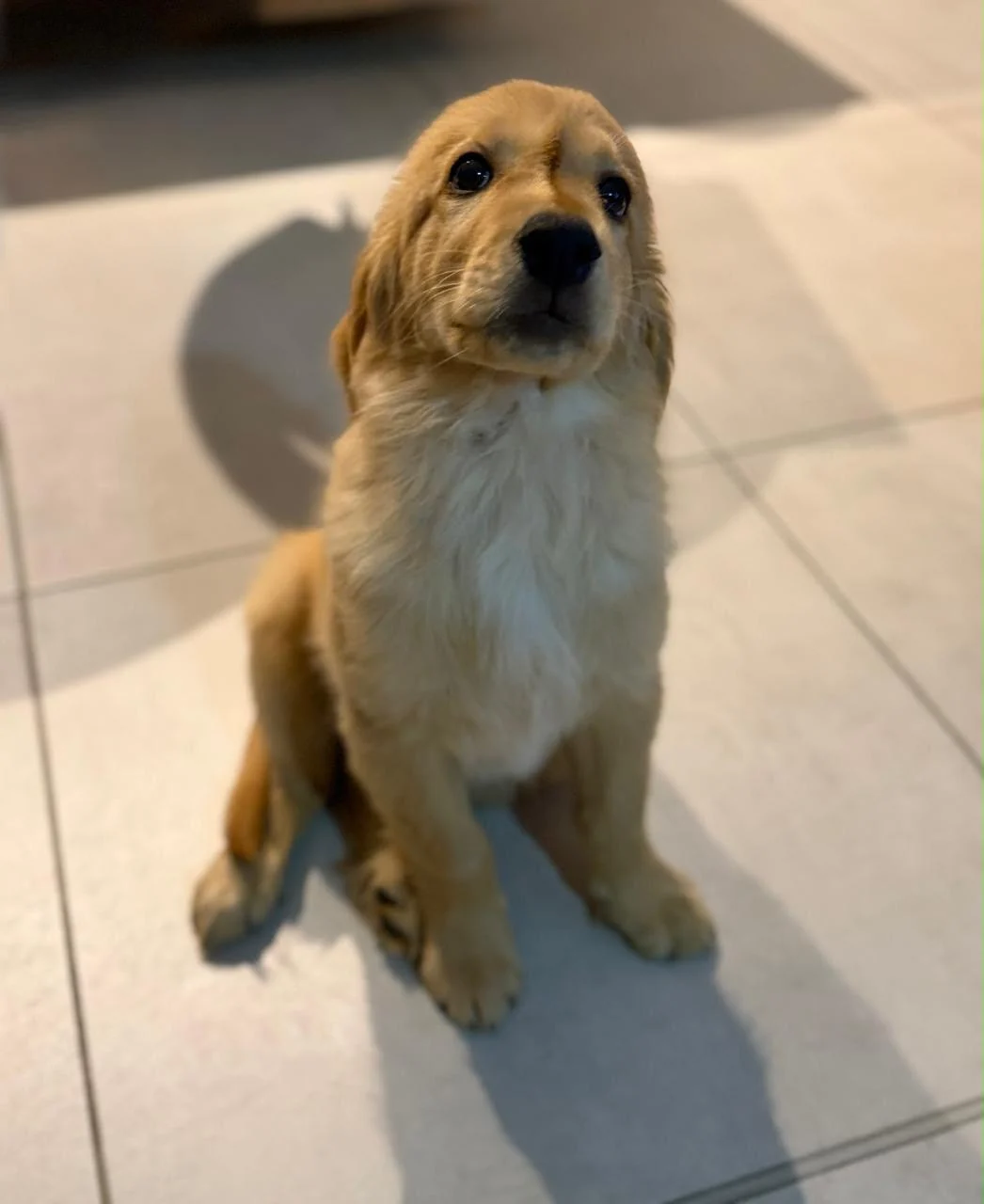 Dante a los 7 meses, mordiendo un palo de café