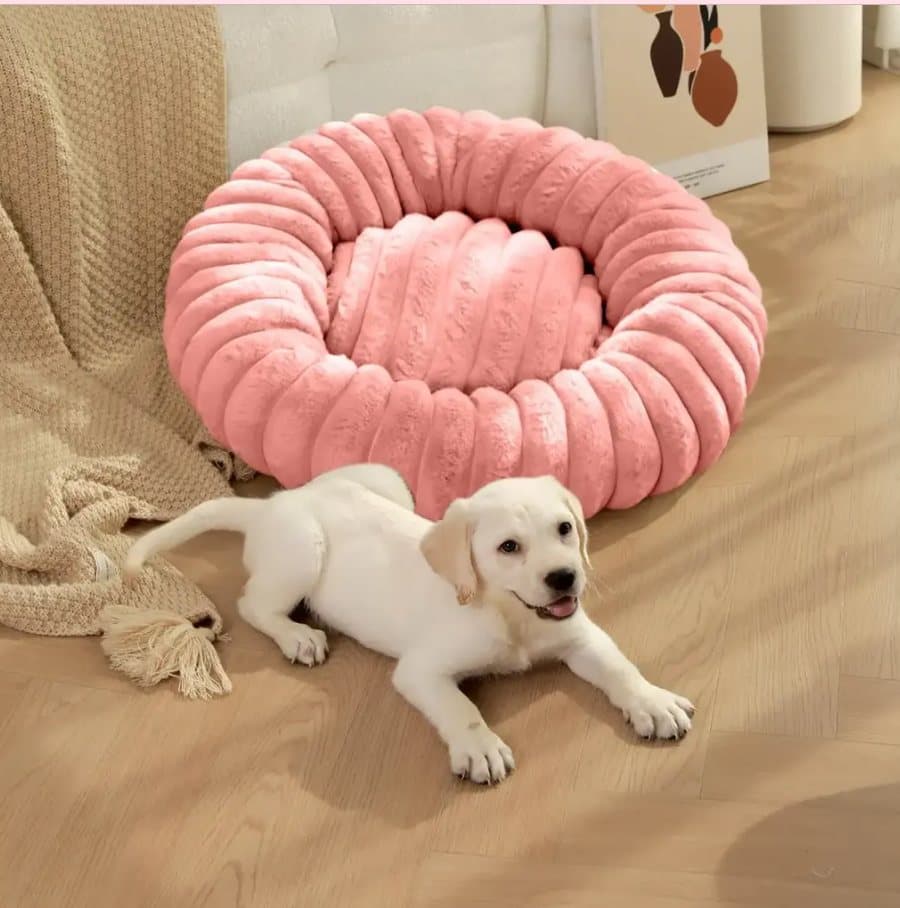 Cama Redonda 60 cm