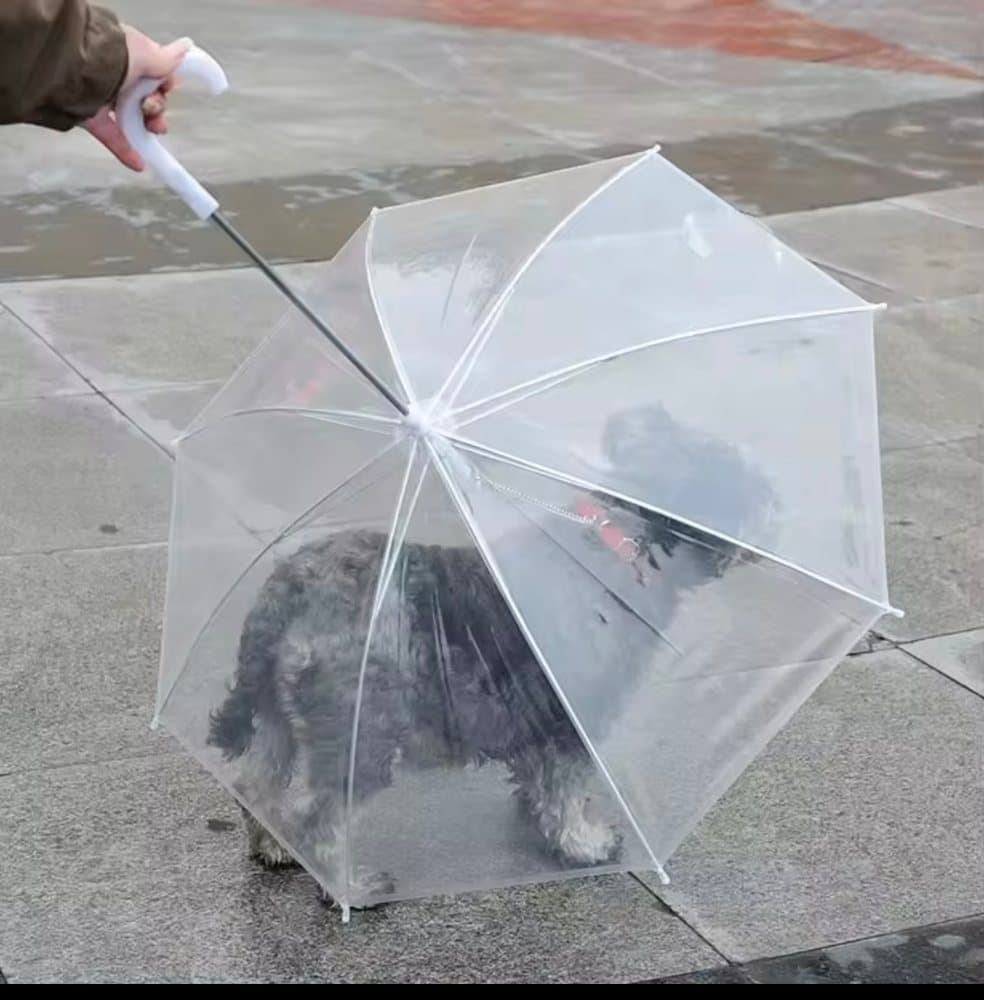 Sombrilla para Perro Pequeño