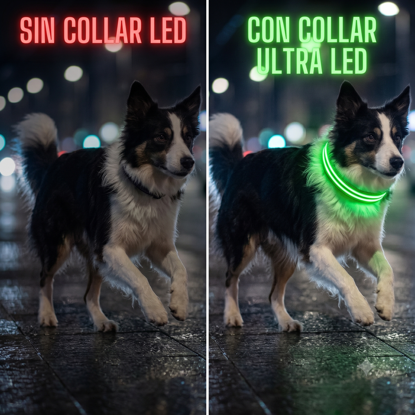 Collar Inteligente Ultra LED Pro™ - Máxima Visibilidad Nocturna para Perros